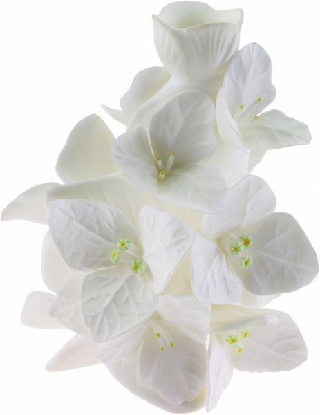 Свічник Бугенвіль 72 BBD514 Enesco