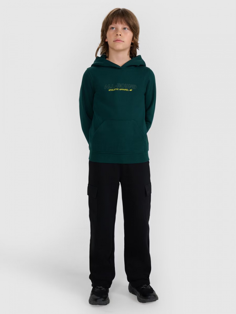 Джемпер 4F SWEATSHIRT M1959 4FJWAW25TSWSM1959-46S р.146 зеленый