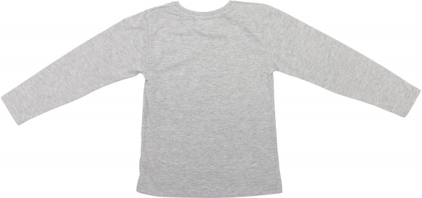 Реглан для хлопчика Luna Kids Level up р.98 сірий меланж 