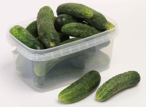 Ємність Poliplast прямокутний (харчовий пластик) 2,3 л прозорий 