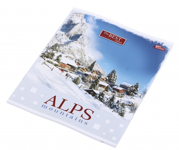 Тетрадь школьная 18 листов в клеточку в ассортименте Мечты сбываются