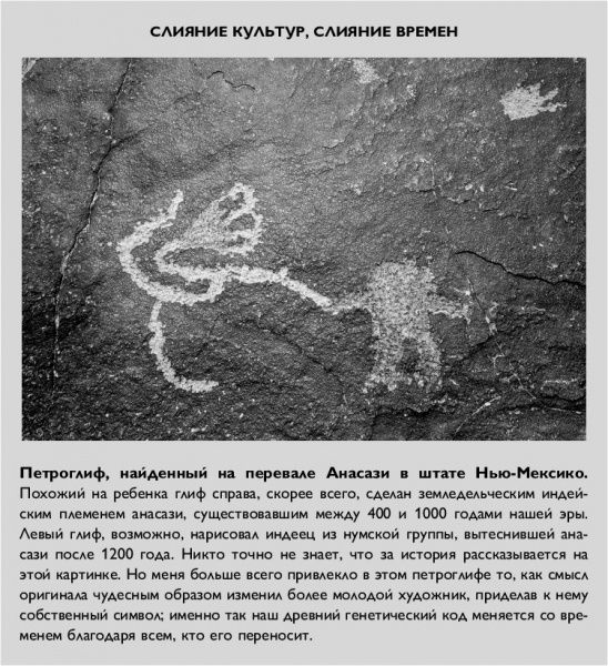 Книга Кэтрин Шэнахан «Умный ген. Какая еда нужна нашей ДНК» 978-617-7808-24-3