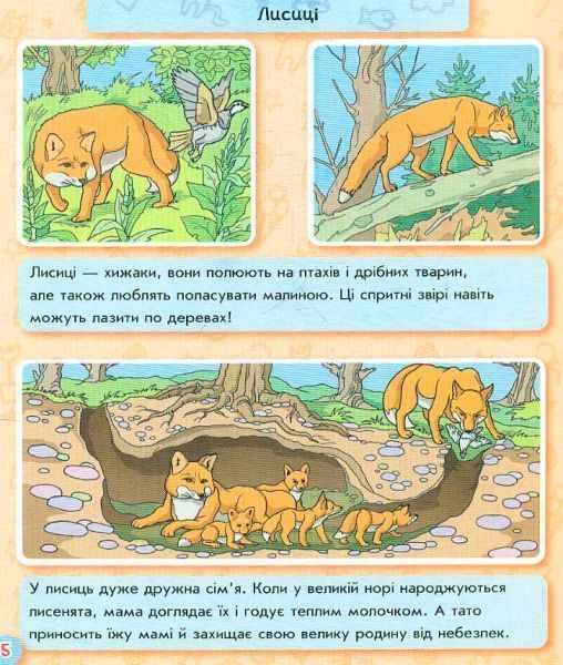 Книга-развивайка «Книжка. Энциклопедия в картинках: Животные леса» 978-966-746-381-6