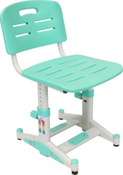 Комплект парта и стул-трансформер Evo-kids BD-04 Z New (XL)