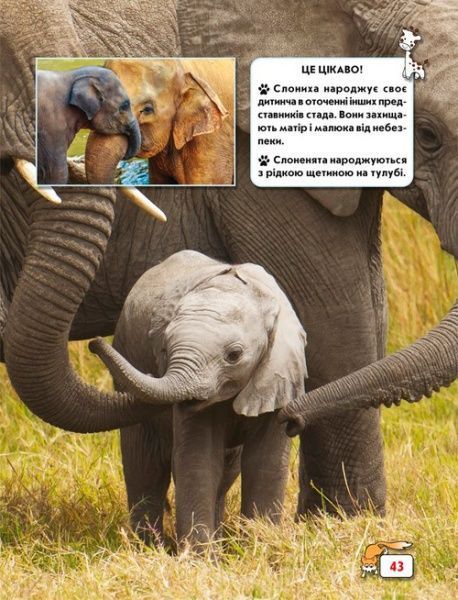 Книга «Світ навколо нас. Малята тварин» 978-966-9369-49-9