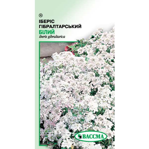 Семена Цветы Иберис гибралтарский белый 0.2 г