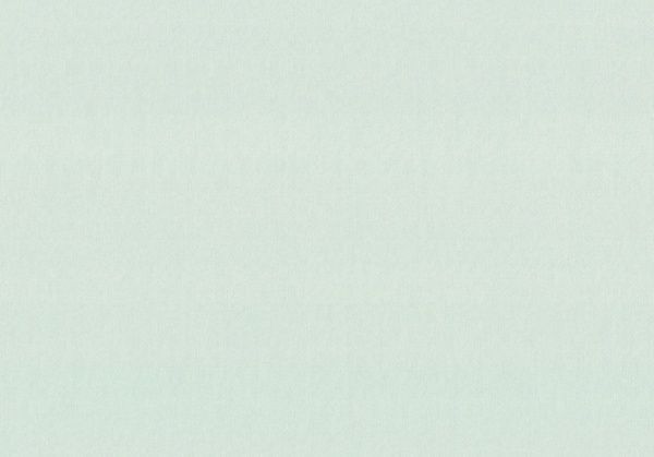 Шпалери вінілові на флізеліновій основі Vinil Блюмарін СШТ 3-1218 1,06x10,06 м 