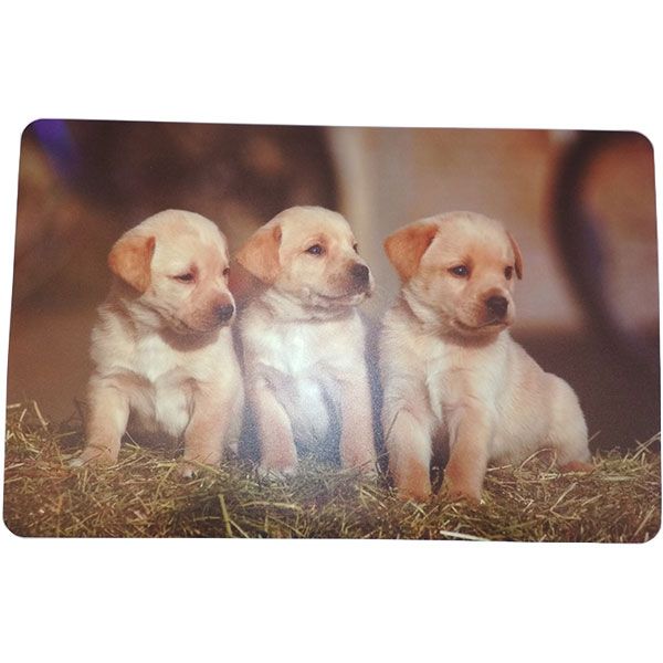 Коврик под тарелку Животные