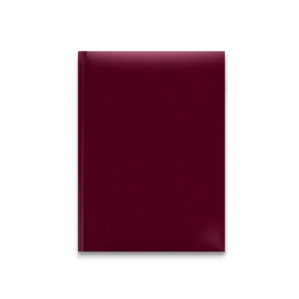 Дневник школьный Самый умный Баладек 1В03