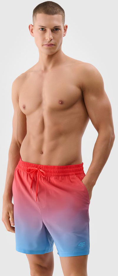 Шорти 4F 4FWSS25UBDSM132-63S р. L різнокольоровий