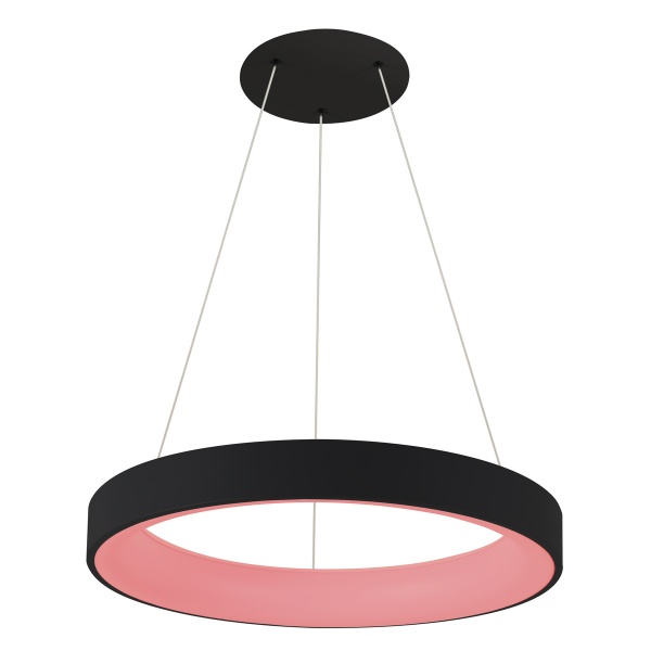 Світильник світлодіодний Victoria Lighting 50 Вт чорний Cora/SP450 RGB black 