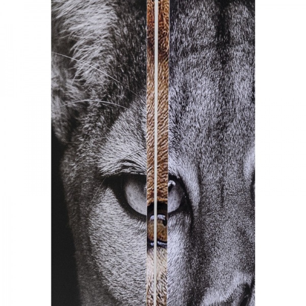 Ширма интерьерная KARE Design King Lion vs Cat Girl 120x180 см 