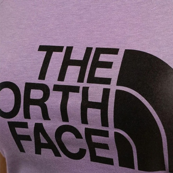 Футболка THE NORTH FACE W S/S EASY TEE NF0A4T1QN141 р.L фіолетовий