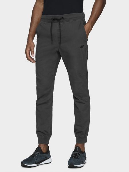 Штани 4F D4Z20-SPMC300-24S р. 2XL сірий