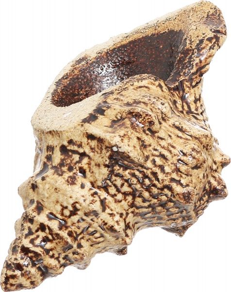 Испаритель Наш шлях Дар Посейдона