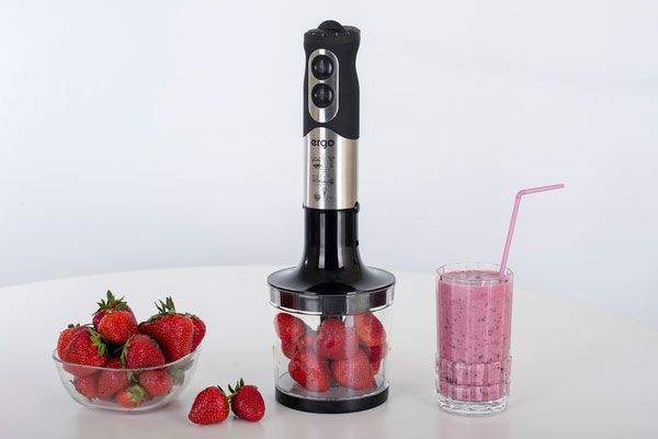 Блендер Ergo EHB 5000 