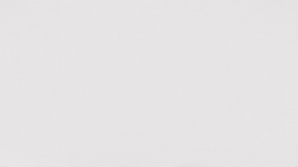 Шпалери вінілові гарячого тиснення Sintra SPRING UNI 460402 1,06x10,05 м