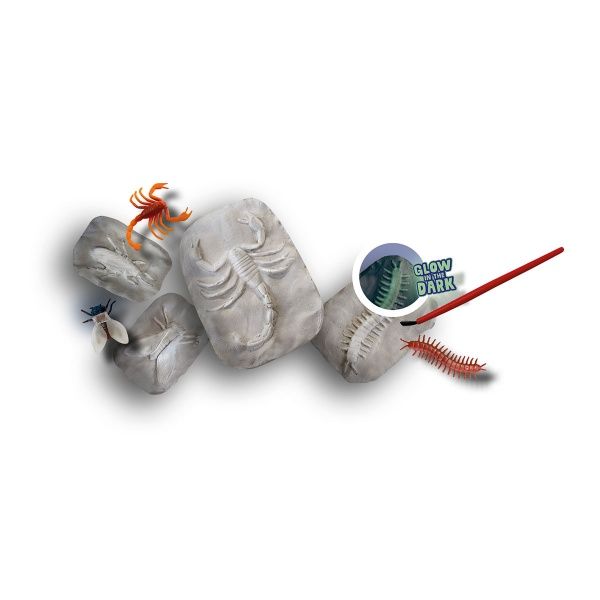 Набір дослідника SES Скам'янілості комах, що світяться 25073S