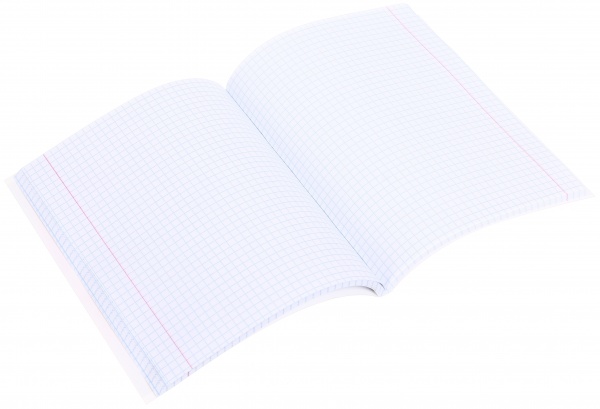 Зошит шкільний з глітером 96 аркушів у клітинку в асортименті Мрії збуваються