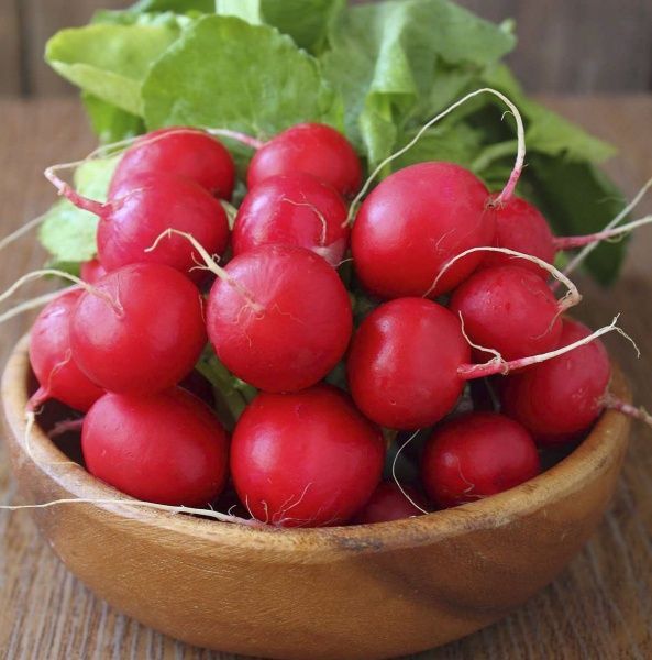 Семена Професійне насіння редис Чери Белл 3г (4820176690401)