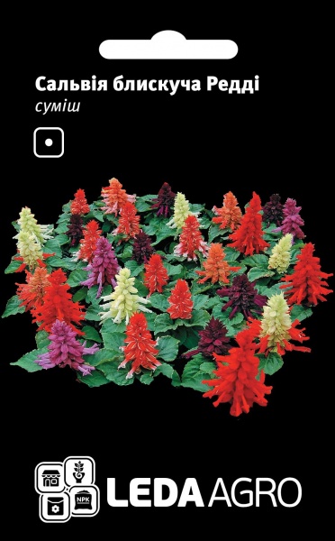 Семена LedaAgro сальвия блестящая Редди смесь 10 шт. (4820119794012)