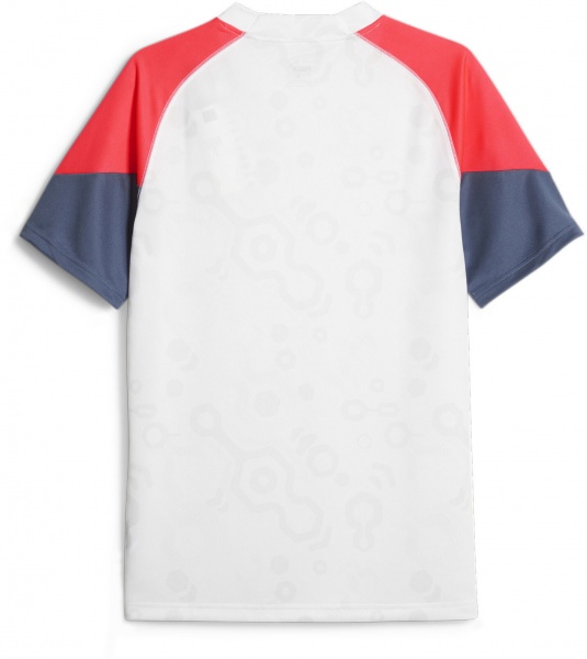 Футболка Puma individualCUP Jersey 65848153 р.M белый