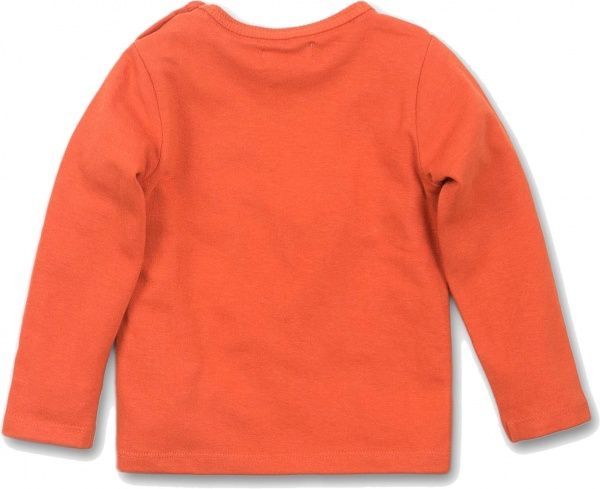 Футболка для хлопчиків Dirkje р.80 помаранчевий D36621-35 