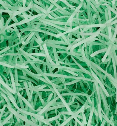 Наполнитель бумажный Бумагия Экофиллер 50 г мятный 