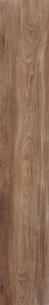 Плитка Allore Group Tahoe Gold F PR R Mat 19,8х120 см