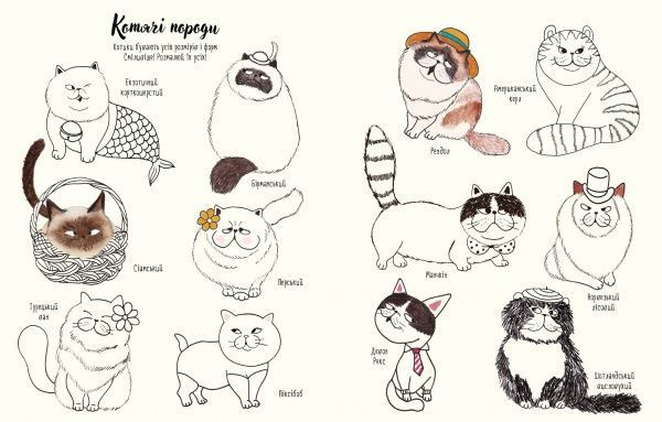 Книга Лулу Майо «Котюрморт. Як малювати котиків» 9-786-177-579-358