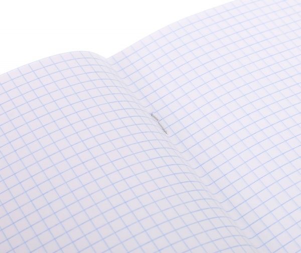 Тетрадь школьная Princess 12 листов клетка Мечты сбываются