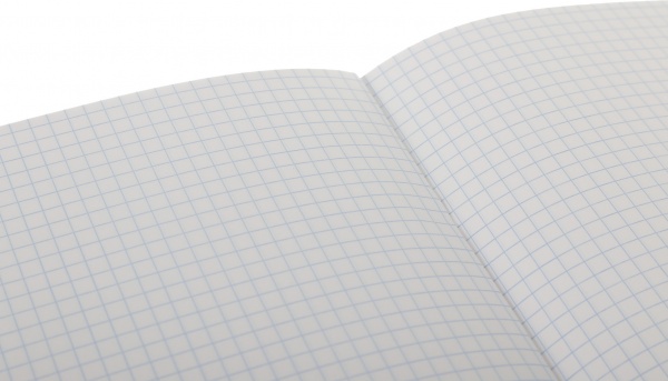 Тетрадь школьная Fox 18 листов в клеточку