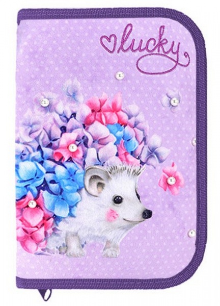 Пенал школьный Lucky 22203C CLASS разноцветный