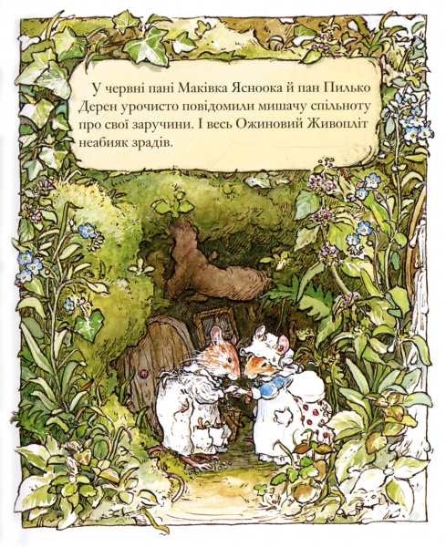 Книга Джилл Барклем «Ожиновий живопліт. Літня історія» 978-617-7329-70-0