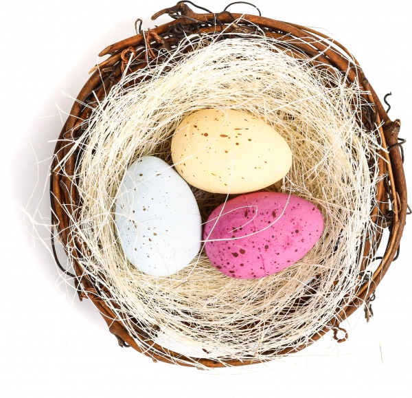 Декорация пасхальная Гнездо с яйцами 12х5 см в ассортименте (Epi-WJ19026-1)