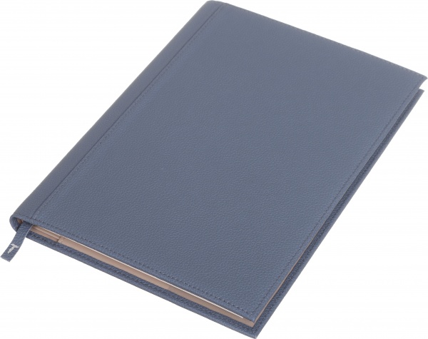 Щоденник недатований Флай синій ТЕКО A4 Е 040-00.62-312240