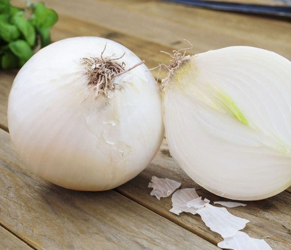 Семена Професійне насіння лук репчатый Вайт Меджик F1 200 шт. (4820176690500)