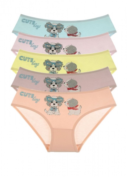 Трусы для девочки Donella 4171TE р.146-152 в ассортименте 