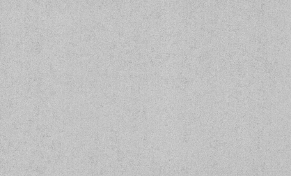 Шпалери вінілові на флізеліновій основі Bravo SIMPLE 516SP19 1,06x10,05 м