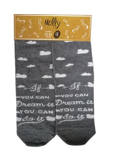 Носки женские Молли Мечтать р. 23-25 серый 1 пар 