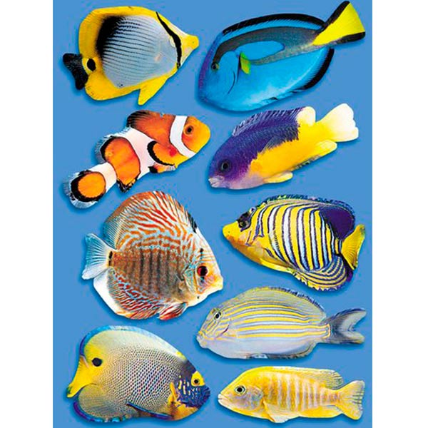 Декоративная наклейка Рыбки