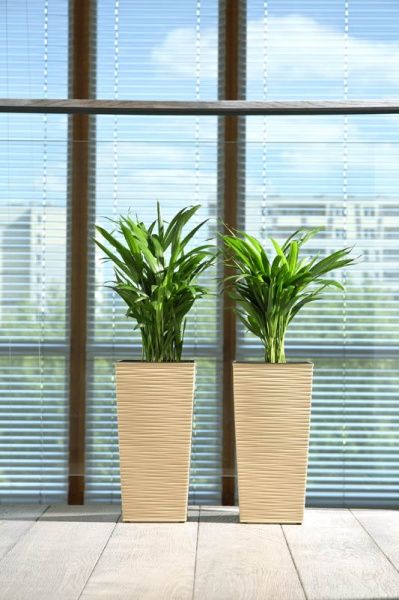 Горшок пластиковый Lamela Финезия 300 с вкладом долото-капучино квадратный 19,5л капучино 