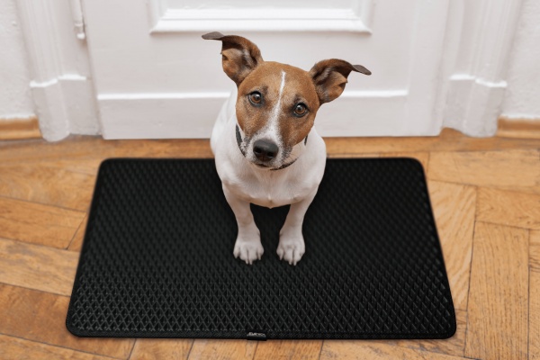 Коврик EVAtech Home ромб черный 60x90 см (KD43332KA1RBB)