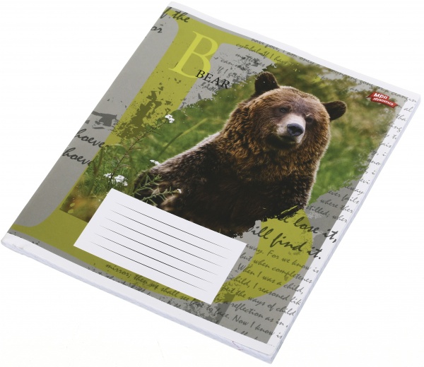 Зошит шкільний 60 аркушів у клітинку в асортименті Мрії збуваються