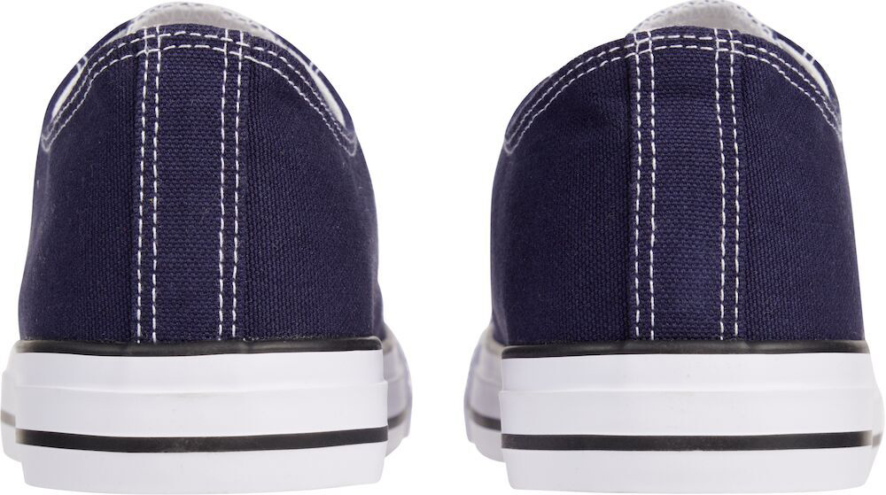 Кеды Firefly Canvas V 423150-506 р.45 синий