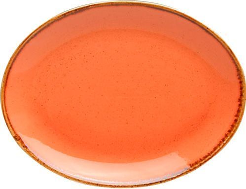 Блюдо овальне Seasons 24 см помаранчеве 04ALM001572 Porland 