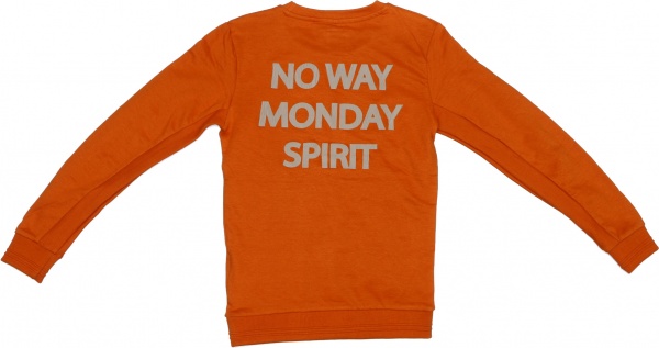 Джемпер для мальчика NWM р.134 оранжевый U44231-1 