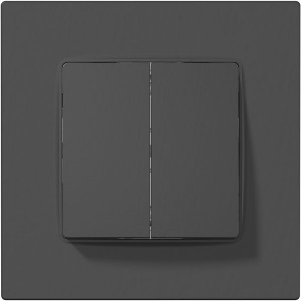 Переключатель проходной двухклавишный Plank Electrotechnic Classic/Nordic без подсветки 10 А 250В антрацит PLK0221241