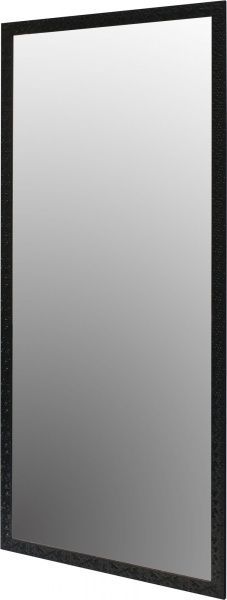 Зеркало с рамой 3.4312D-5002-1L 700x1600 мм черный 