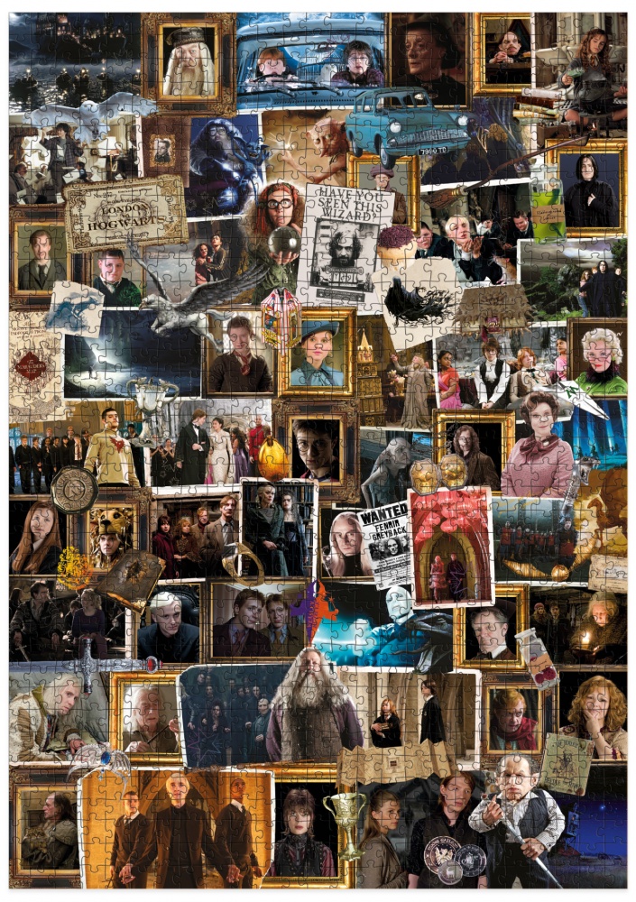 Пазл DoDo Medium-XL Harry Potter. 1000 элементов Известные моменты и фигуры 200571